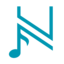 Nelworks Icon