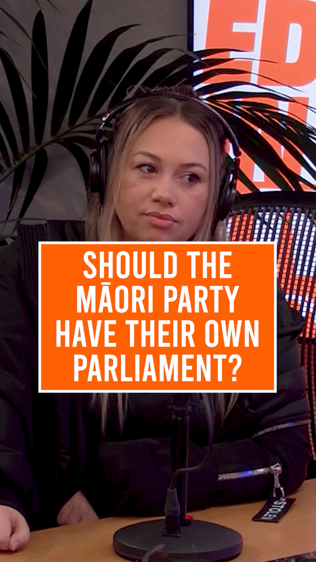 Should the Māori Party Have Their own Parliament?
